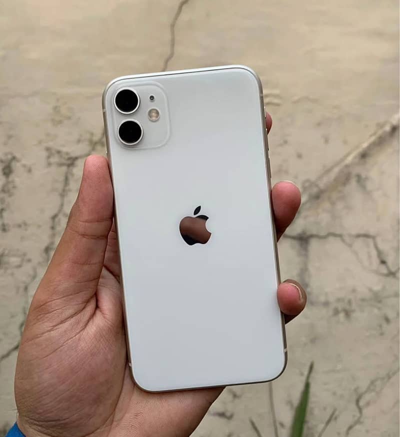 iPhone 11 0
