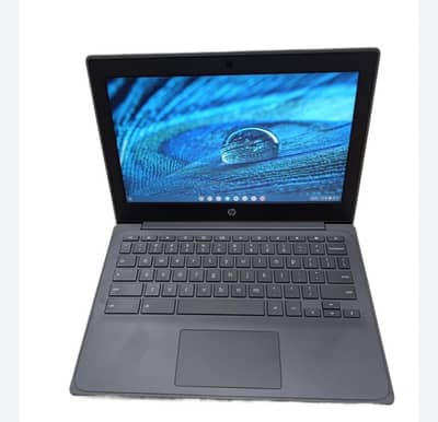 hp11 G8 dual type c dual USB supported