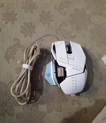 Mouse Rat comapny used mouse