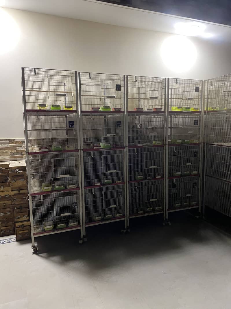Cages 1