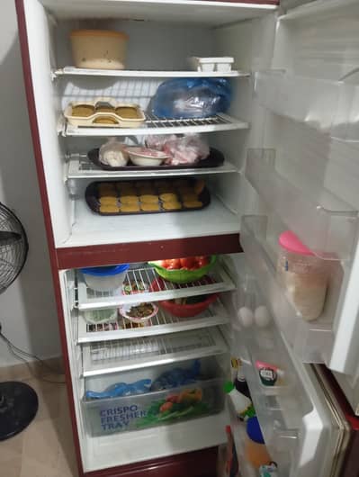 Pel 18cft Refrigerator