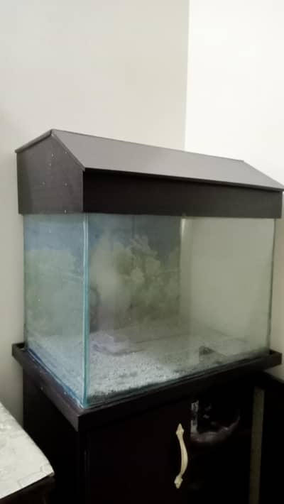 Aquarium and Stand with shelf and cabinet doors
