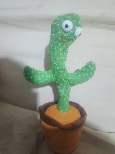 Dancing cactus