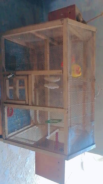 Parrot Cage