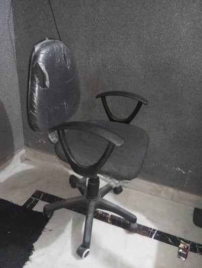 China Imported  Chair