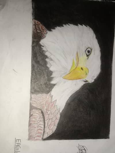 PAINTING FOR SALE/EACH RS. 1000