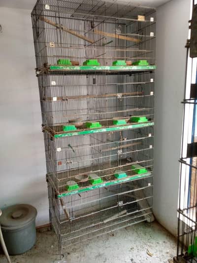 Parrots cages for sale
