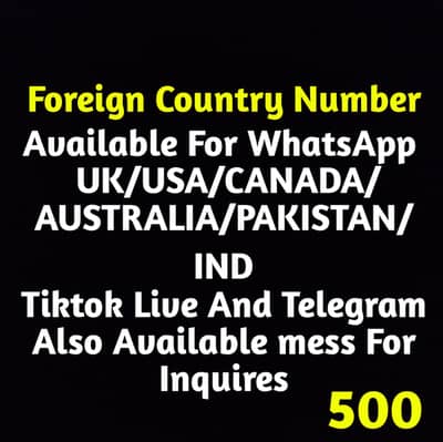 num to WhatsApp tiktok