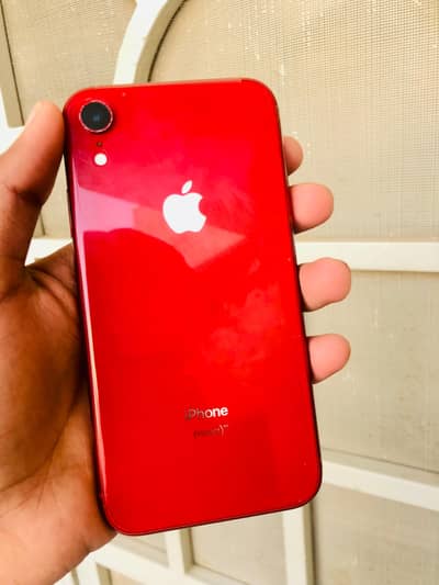 iPhone XR