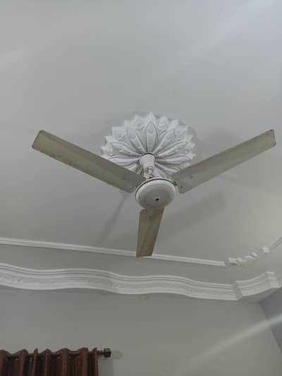 Selling my Fans and other house holding items