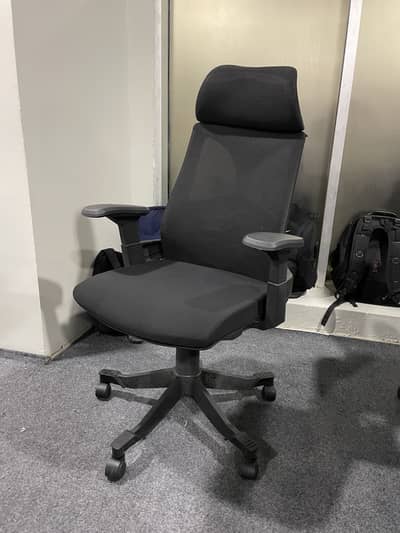 Boss Executive Office Chairs - Bulk Quantity