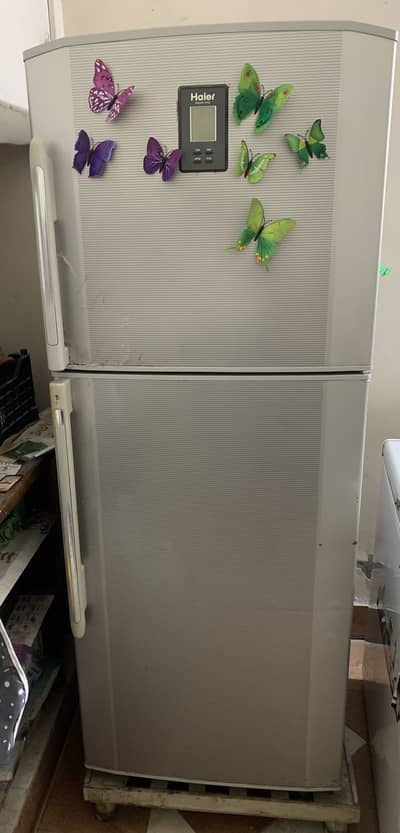 Haier fridge large size
