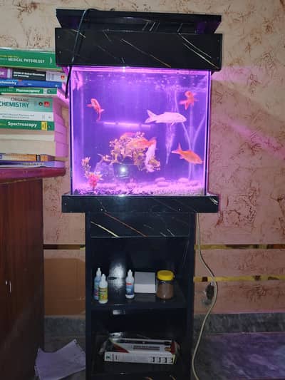 brand new 1.5feet tank with  stand table hood heater oxygen pump light