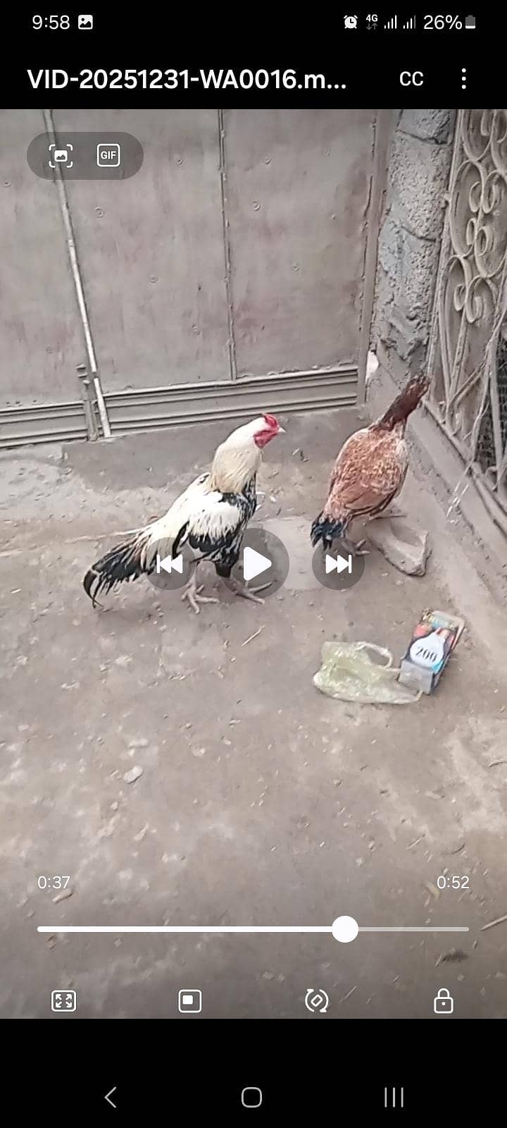 کوالٹی اسیل جوڑا فار سیل 3