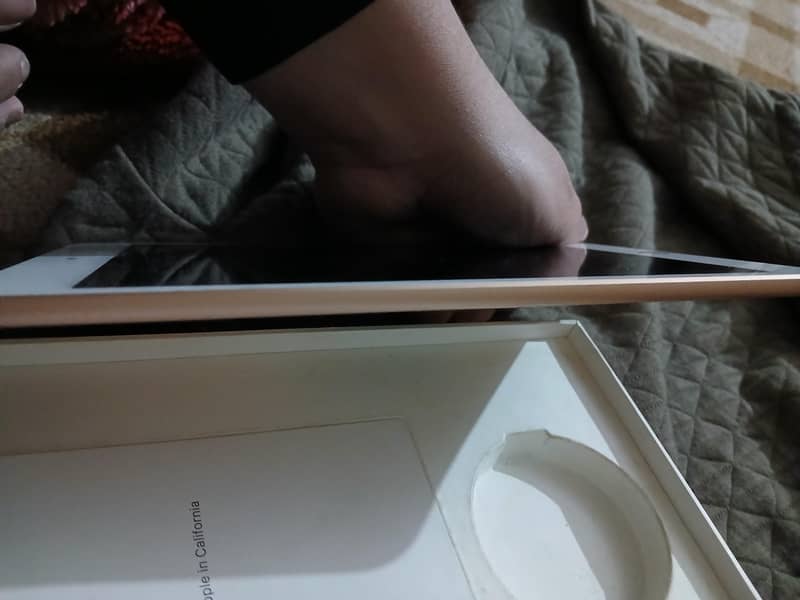 ipad mini 5 0
