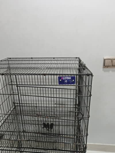 Parrots Cage