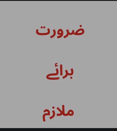 Zarurat brae mulazim 03010900032