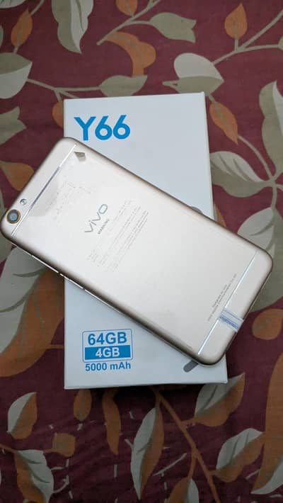 vivo y66 official approve
