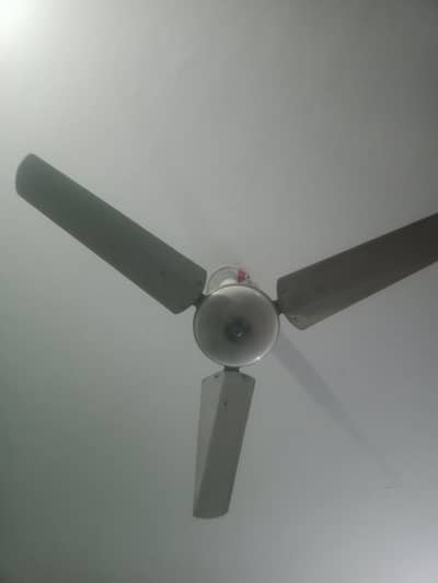 Big size 2 fan in low price