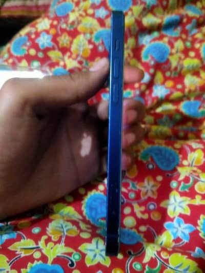 iphone 12 non pta water pak