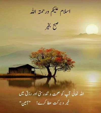 online website chalana wala