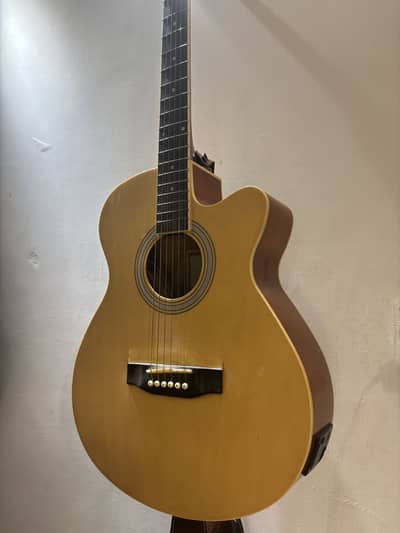 Semi Acoustic Guitar