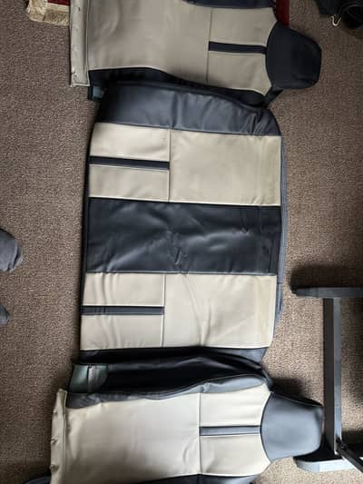 Japanese Rexine Alto