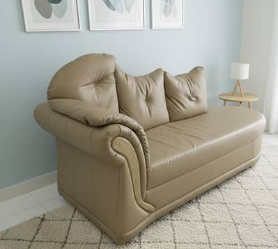 Dewan with pure leather.