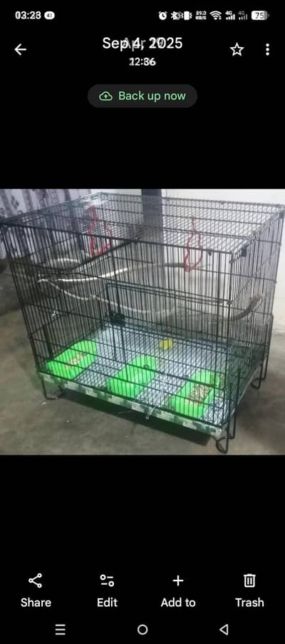 Parrot cage