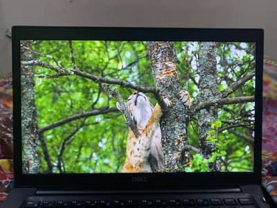 Dell i7 8th gen with 16gb ram and 256gb SSD