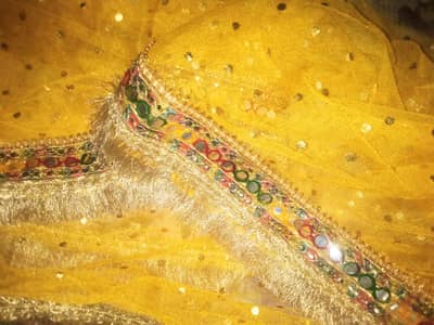 beautiful mehndi lehnga with beautiful work with tilla
