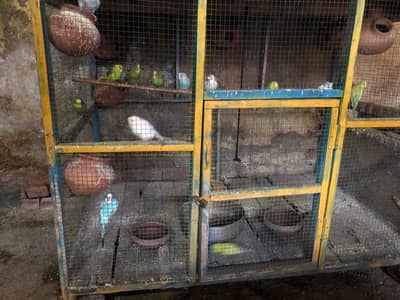 Bagdies and Cage For sale