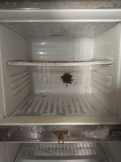 03154445128 contact now  fór buy we can deal it