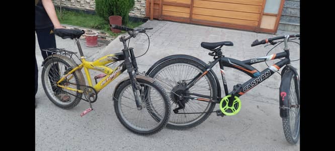 two cycle sale