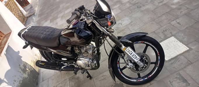 ybz dx black  beauty