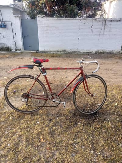 Racing Bicycle. Road bicycle