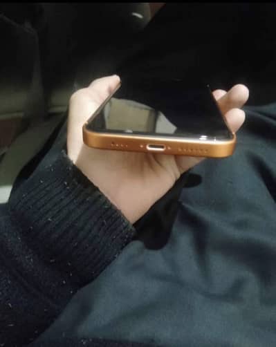 iPhone XR convert to 17promax