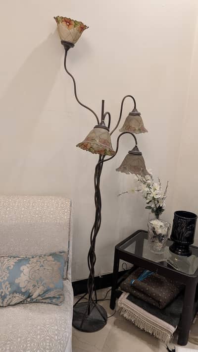 Aesthetic Lounge Floor Lamp