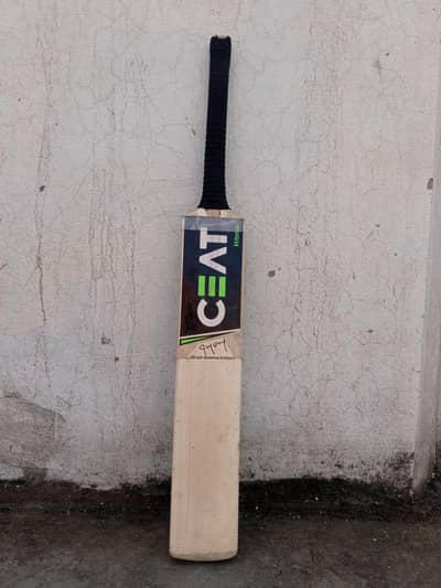Cricket Hardball Bat.