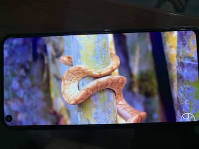 03451478813 call ya whatsapp