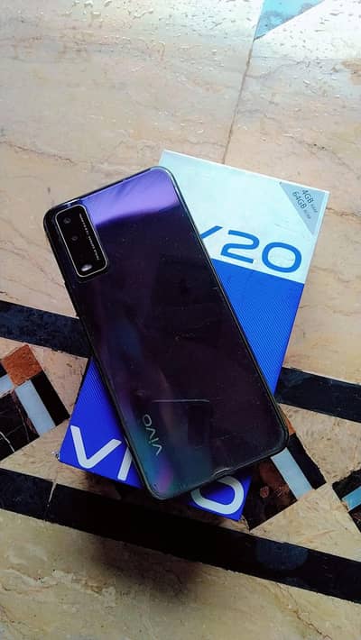 vivo y20s only panal change