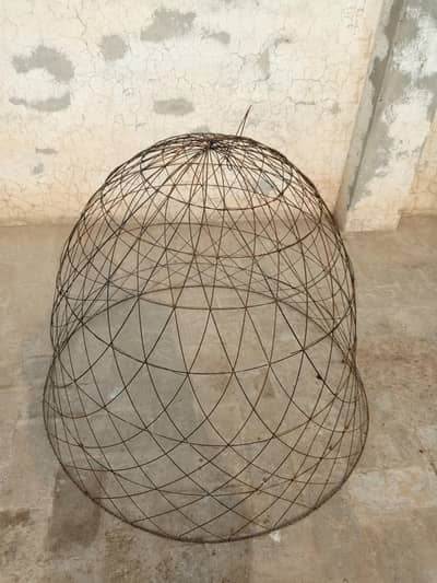 Tokara  10by10 condition