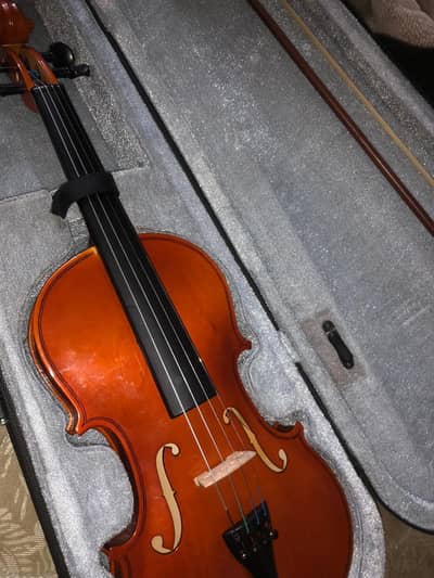 new violin for sale.
