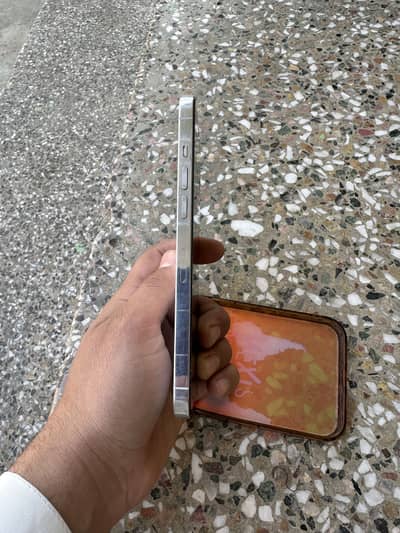 Iphone 12 pro max PTA 256