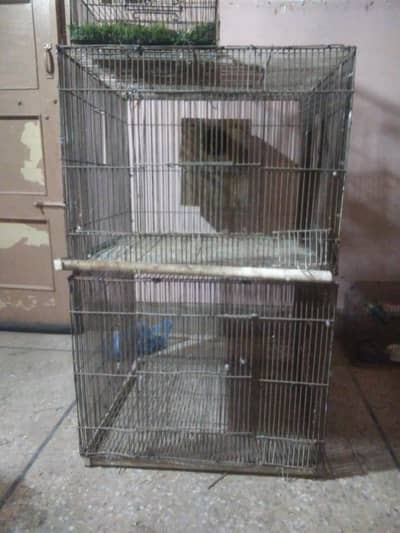 Heavy Wire Ringneck Breeding Cage