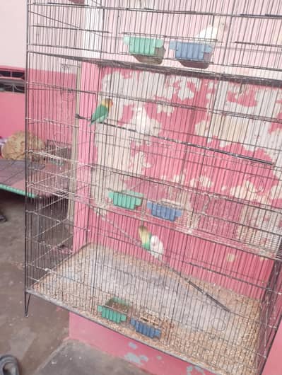 road Iran pinjra with steel paltes