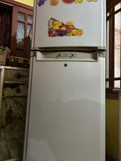 ORIENT Fridge