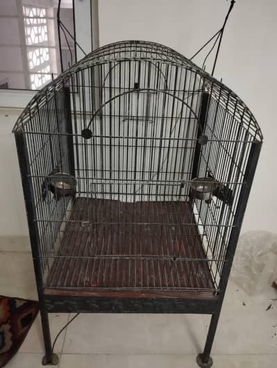 bird cage