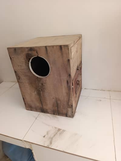 box available ringnik lovebird cocktail