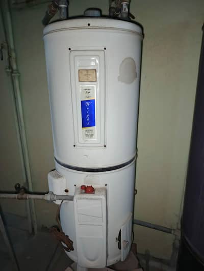 electric and gas gyser